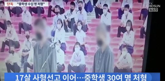 <TV조선 보도 캡처>